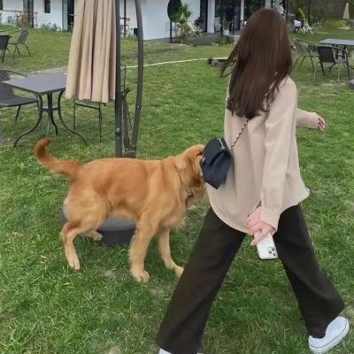 赤足皇帝