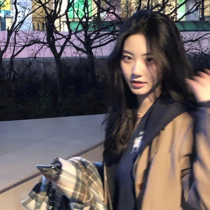 花落莺啼春